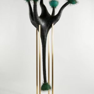 Hexacorallia Luxus by Studio J McDonald