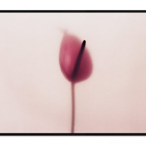 Behind The Veil by Atarah Atkinson