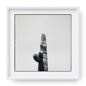 “Prickly” by Atarah Atkinson